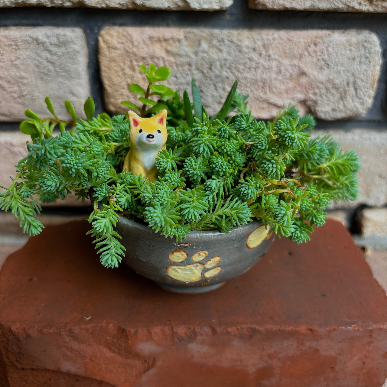 柴わんこと植木鉢